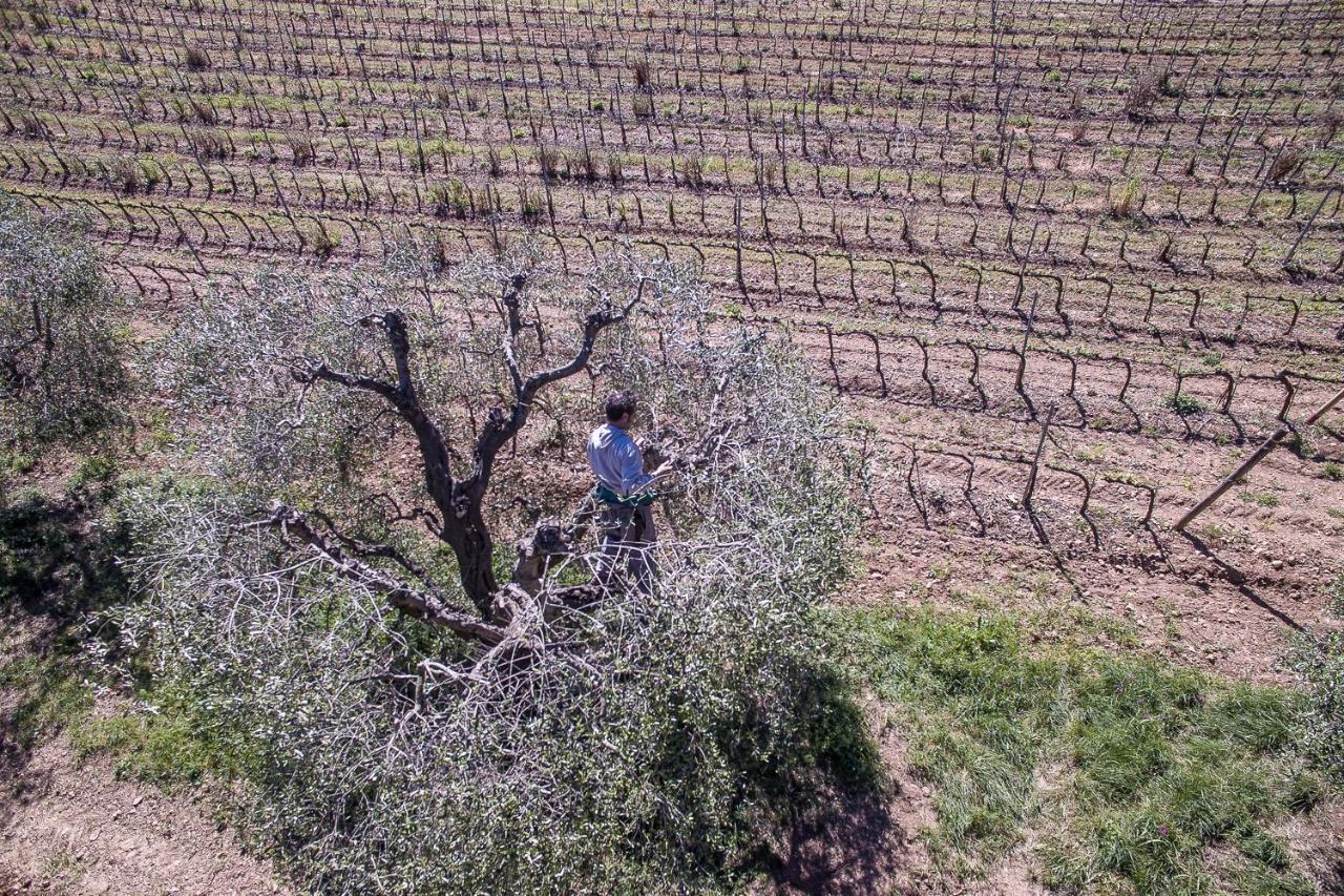 Ristorante Alojamento de Turismo Rural *