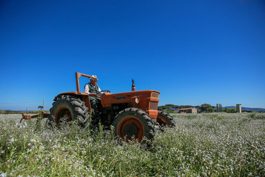 Alojamento de Turismo Rural Ristorante Monte Argentario